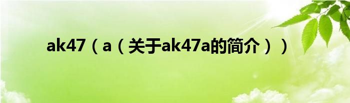 ak47（a（關(guān)于ak47a的簡(jiǎn)介））