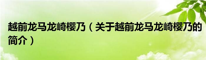 越前龍馬龍崎櫻乃（關(guān)于越前龍馬龍崎櫻乃的簡(jiǎn)介）