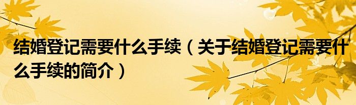 結(jié)婚登記需要什么手續(xù)（關(guān)于結(jié)婚登記需要什么手續(xù)的簡介）