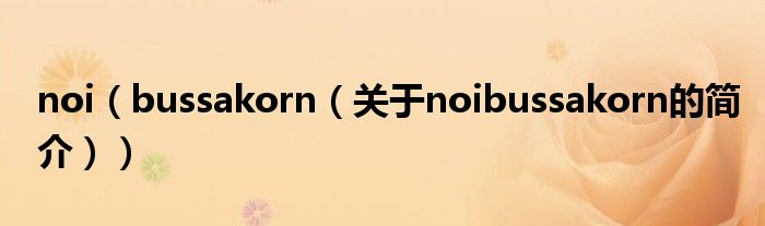 noi（bussakorn（關(guān)于noibussakorn的簡介））