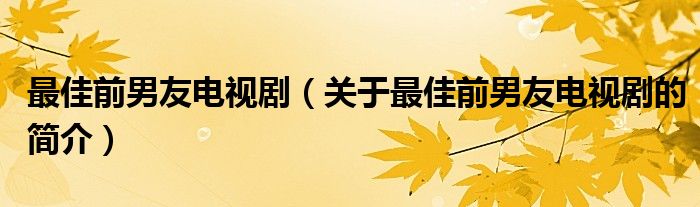 最佳前男友電視劇（關(guān)于最佳前男友電視劇的簡(jiǎn)介）