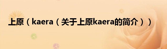 上原（kaera（關(guān)于上原kaera的簡介））