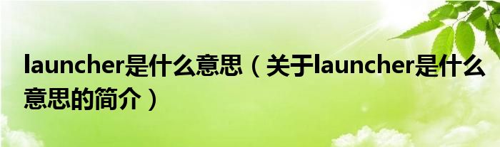 launcher是什么意思（關(guān)于launcher是什么意思的簡介）