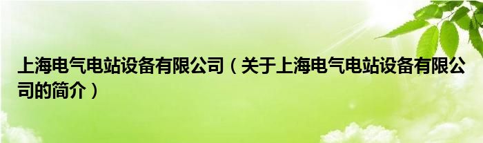 上海電氣電站設(shè)備有限公司（關(guān)于上海電氣電站設(shè)備有限公司的簡(jiǎn)介）