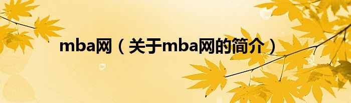 mba網(wǎng)（關(guān)于mba網(wǎng)的簡(jiǎn)介）