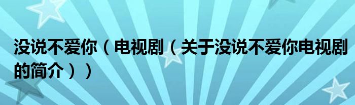 沒(méi)說(shuō)不愛(ài)你（電視劇（關(guān)于沒(méi)說(shuō)不愛(ài)你電視劇的簡(jiǎn)介））