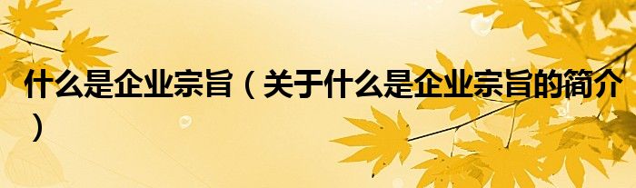 什么是企業(yè)宗旨（關(guān)于什么是企業(yè)宗旨的簡介）