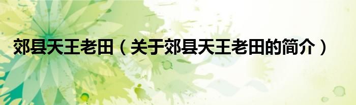 郊縣天王老田（關(guān)于郊縣天王老田的簡(jiǎn)介）