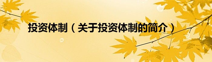 投資體制（關(guān)于投資體制的簡(jiǎn)介）