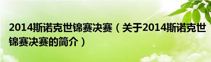 2014斯諾克世錦賽決賽（關于2014斯諾克世錦賽決賽的簡介）