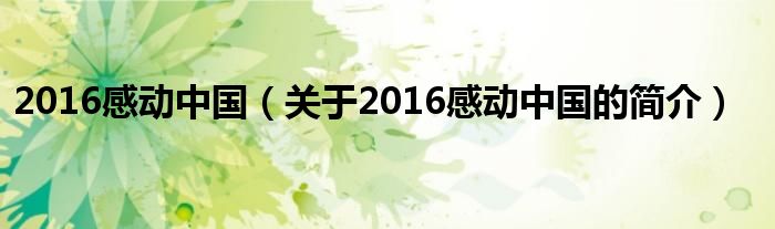 2016感動(dòng)中國（關(guān)于2016感動(dòng)中國的簡介）