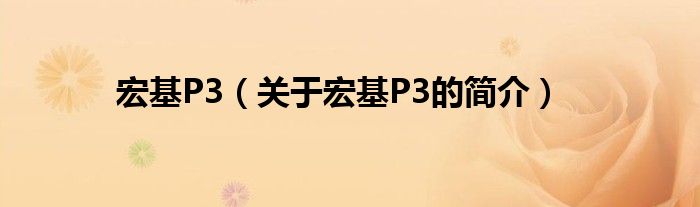 宏基P3（關于宏基P3的簡介）