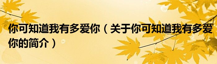 你可知道我有多愛你（關(guān)于你可知道我有多愛你的簡介）