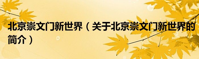 北京崇文門新世界（關(guān)于北京崇文門新世界的簡介）