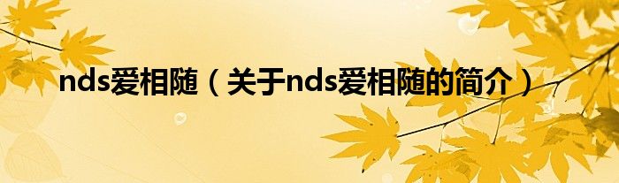 nds愛相隨（關(guān)于nds愛相隨的簡介）