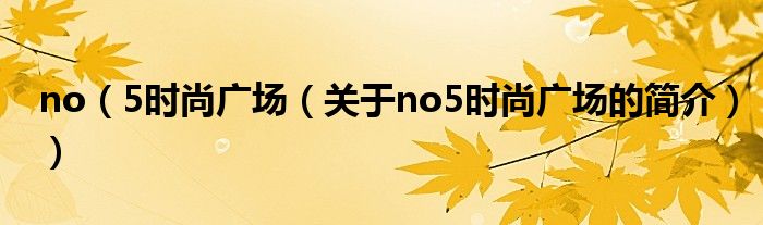 no（5時(shí)尚廣場（關(guān)于no5時(shí)尚廣場的簡介））