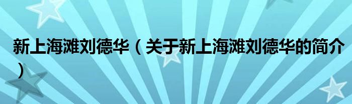 新上海灘劉德華（關(guān)于新上海灘劉德華的簡介）