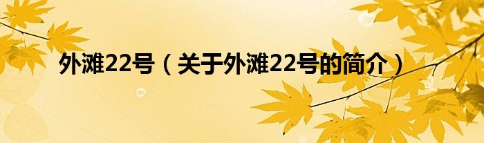 外灘22號（關(guān)于外灘22號的簡介）