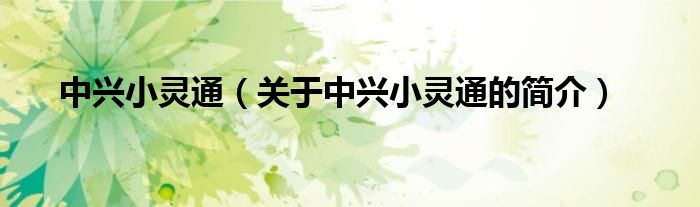 中興小靈通（關(guān)于中興小靈通的簡(jiǎn)介）