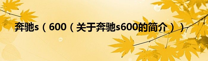 奔馳s（600（關(guān)于奔馳s600的簡(jiǎn)介））