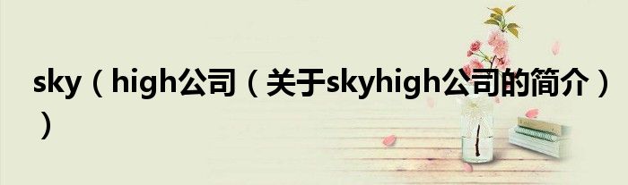 sky（high公司（關于skyhigh公司的簡介））