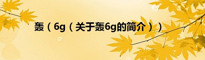 轟（6g（關(guān)于轟6g的簡(jiǎn)介））