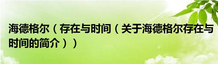 海德格爾（存在與時(shí)間（關(guān)于海德格爾存在與時(shí)間的簡介））