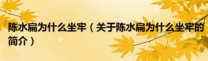 陳水扁為什么坐牢（關(guān)于陳水扁為什么坐牢的簡(jiǎn)介）