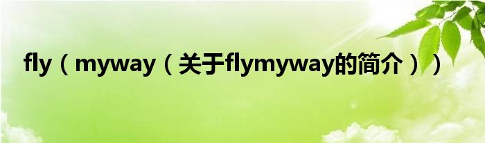 fly（myway（關(guān)于flymyway的簡(jiǎn)介））