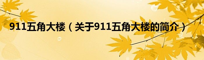 911五角大樓（關(guān)于911五角大樓的簡介）