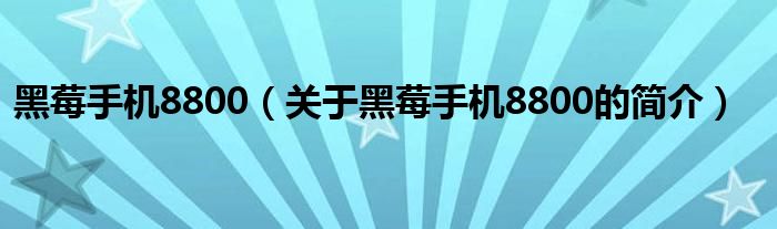 黑莓手機(jī)8800（關(guān)于黑莓手機(jī)8800的簡(jiǎn)介）