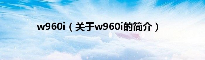 w960i（關(guān)于w960i的簡(jiǎn)介）