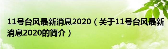 11號臺風最新消息2020（關(guān)于11號臺風最新消息2020的簡介）