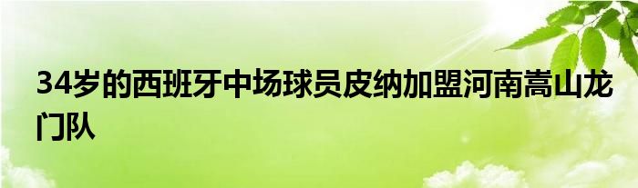 34歲的西班牙中場球員皮納加盟河南嵩山龍門隊