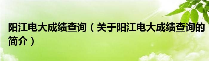 陽江電大成績查詢（關(guān)于陽江電大成績查詢的簡介）