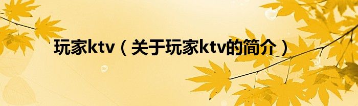 玩家ktv（關(guān)于玩家ktv的簡介）