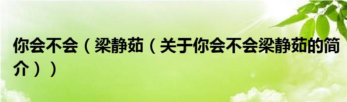 你會不會（梁靜茹（關(guān)于你會不會梁靜茹的簡介））