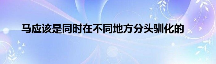 馬應(yīng)該是同時在不同地方分頭馴化的