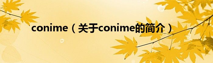 conime（關于conime的簡介）