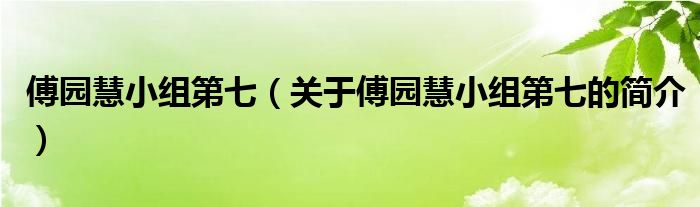 傅園慧小組第七（關(guān)于傅園慧小組第七的簡(jiǎn)介）