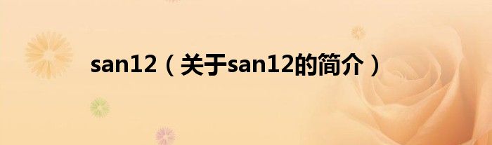 san12（關(guān)于san12的簡介）