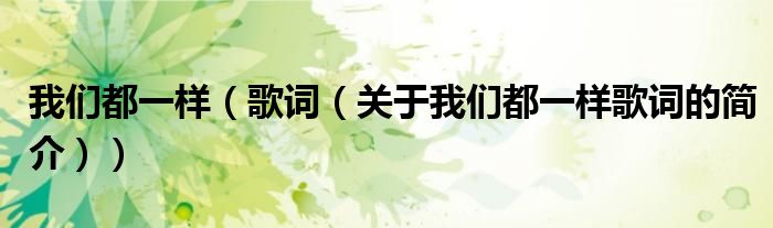 我們都一樣（歌詞（關于我們都一樣歌詞的簡介））