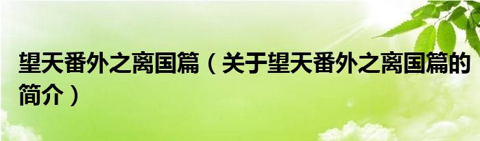 望天番外之離國篇（關(guān)于望天番外之離國篇的簡介）