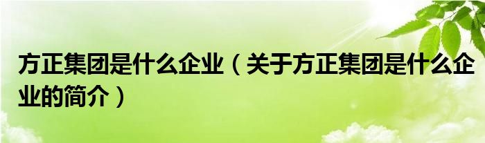 方正集團是什么企業(yè)（關于方正集團是什么企業(yè)的簡介）