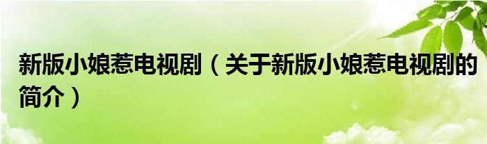 新版小娘惹電視?。P于新版小娘惹電視劇的簡介）