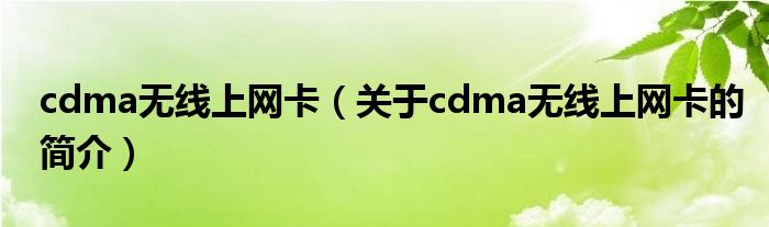 cdma無線上網(wǎng)卡（關(guān)于cdma無線上網(wǎng)卡的簡介）