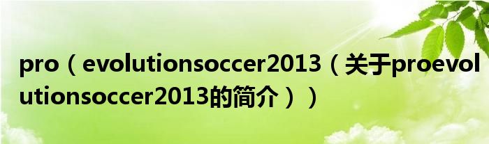 pro（evolutionsoccer2013（關于proevolutionsoccer2013的簡介））