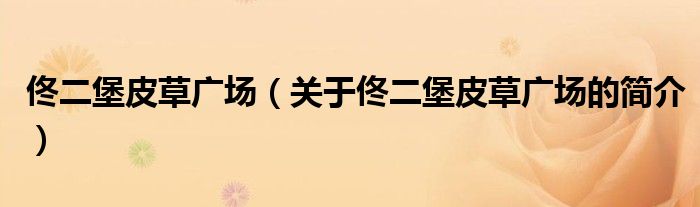 佟二堡皮草廣場（關(guān)于佟二堡皮草廣場的簡介）