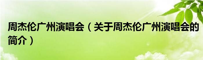 周杰倫廣州演唱會(huì)（關(guān)于周杰倫廣州演唱會(huì)的簡(jiǎn)介）