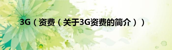 3G（資費(fèi)（關(guān)于3G資費(fèi)的簡介））